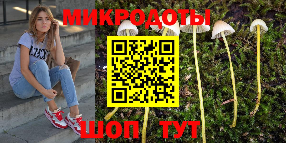 Галлюциногенные грибы GOLDEN TEACHER Санкт-Петербург