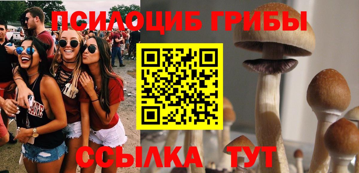 Санкт-Петербург  Галлюциногенные грибы GOLDEN TEACHER  Вход с VPN 